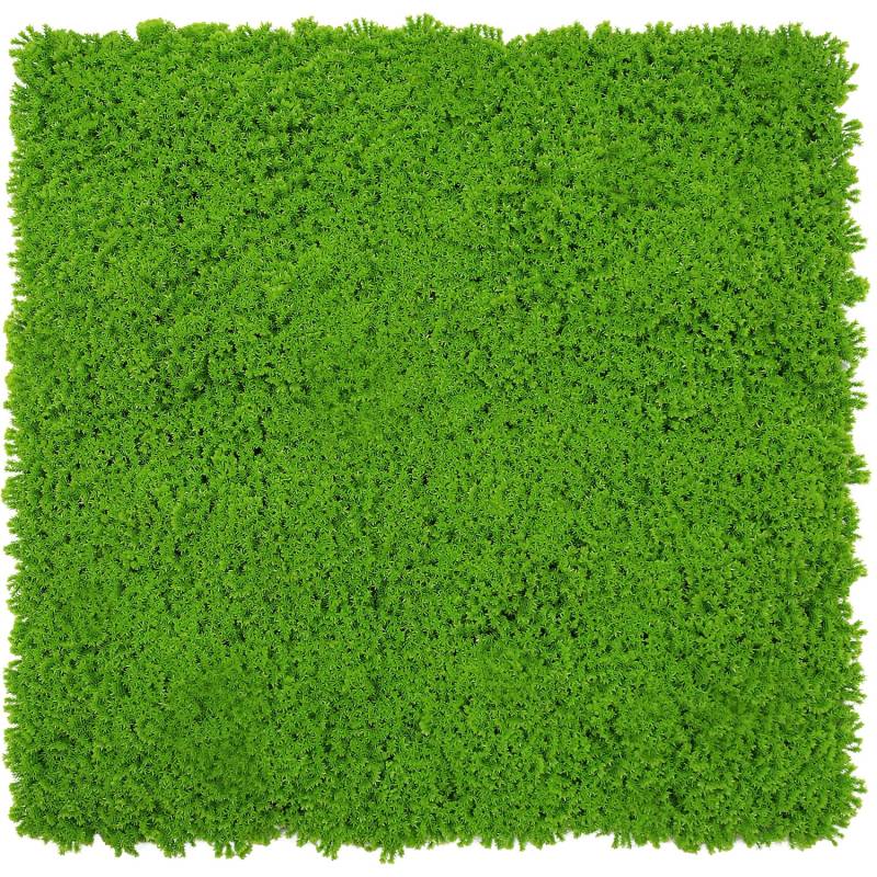 Jangal Wandpaneel Modular Wall Lime Green Design Moos 52 x 52 cm von Jangal