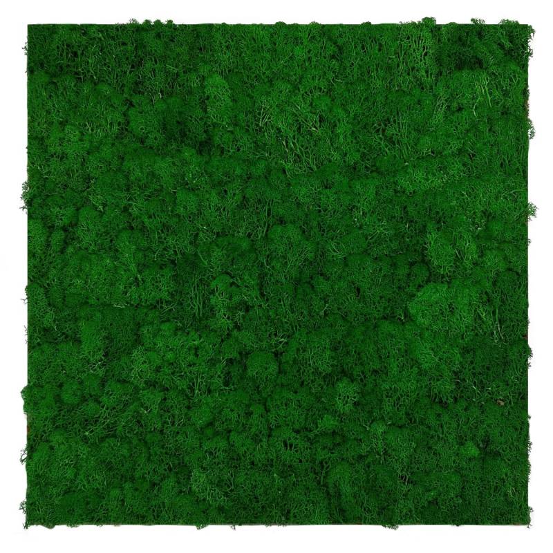 Jangal Wandpaneel Modular Wall Nature Green Moos 52 x 52 cm von Jangal