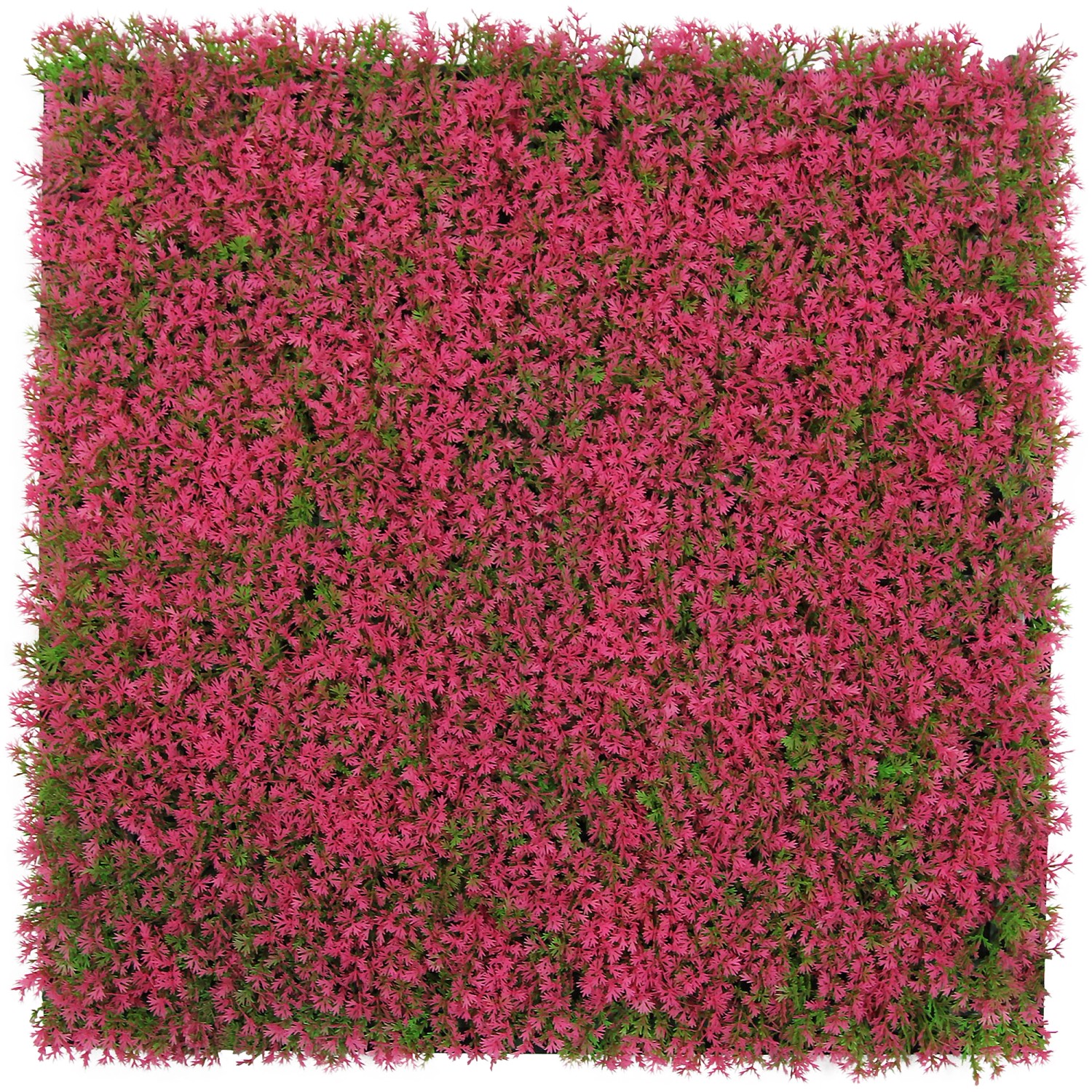 Jangal Wandpaneel Modular Wall Pink Design Grass 52 x 52 cm Jangal Wandpaneel Modular Wall Pink Design Grass 52 x 52 cm von Jangal