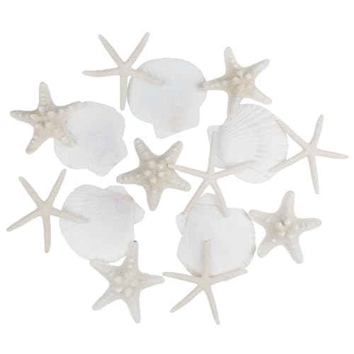 Jangostor 15 Stück Seestern und Muscheln Natürliche Muschel, 5CM-9CM gemischte Seesterne natürliche Muscheln für Hochzeit Dekor Strand Theme Party, Home Decorations, DIY Handwerk von Jangostor