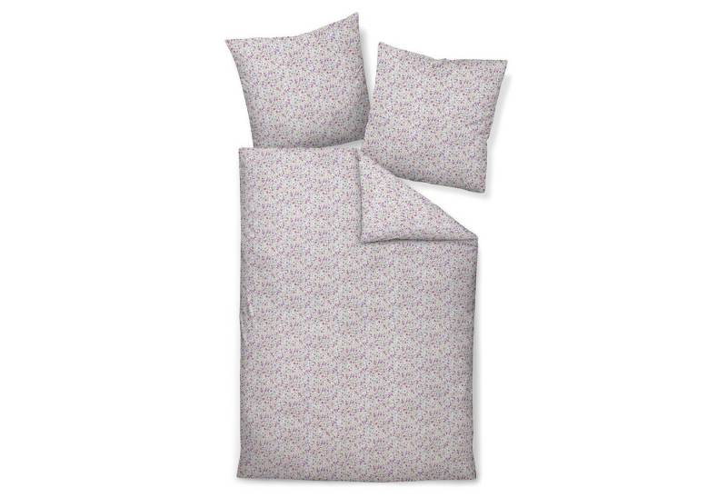 Janine Bettwäsche Bettwäsche Janine Seersucker Tango 20154-05 Blumen Lila Beere 135x200, 2 teilig Janine Bettwäsche Bettwäsche Janine Seersucker Tango 20154-05 Blumen Lila Beere 135x200, 2 teilig von Janine
