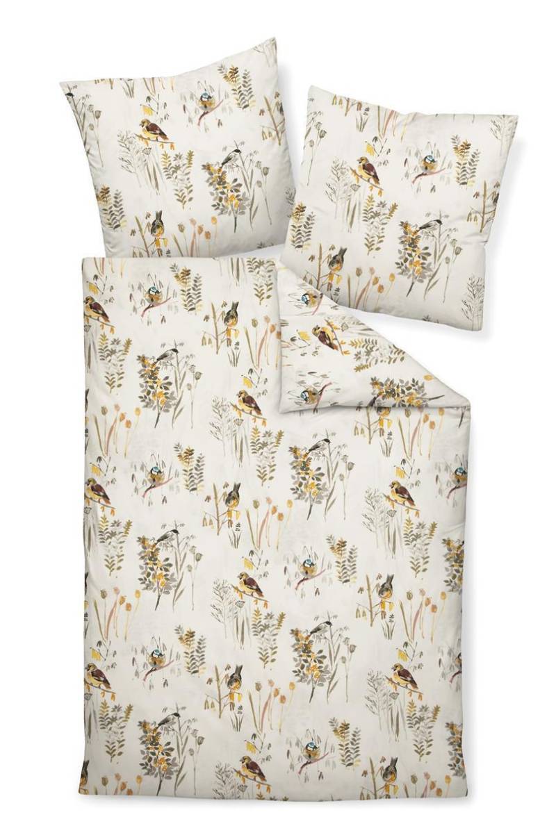 Janine Biber 1B-Bettwäsche 135x200 Davos 65083-03 Vögel Zweige oliv bernstein Janine Biber 1B-Bettwäsche 135x200 Davos 65083-03 Vögel Zweige oliv bernstein von Janine Design GmbH