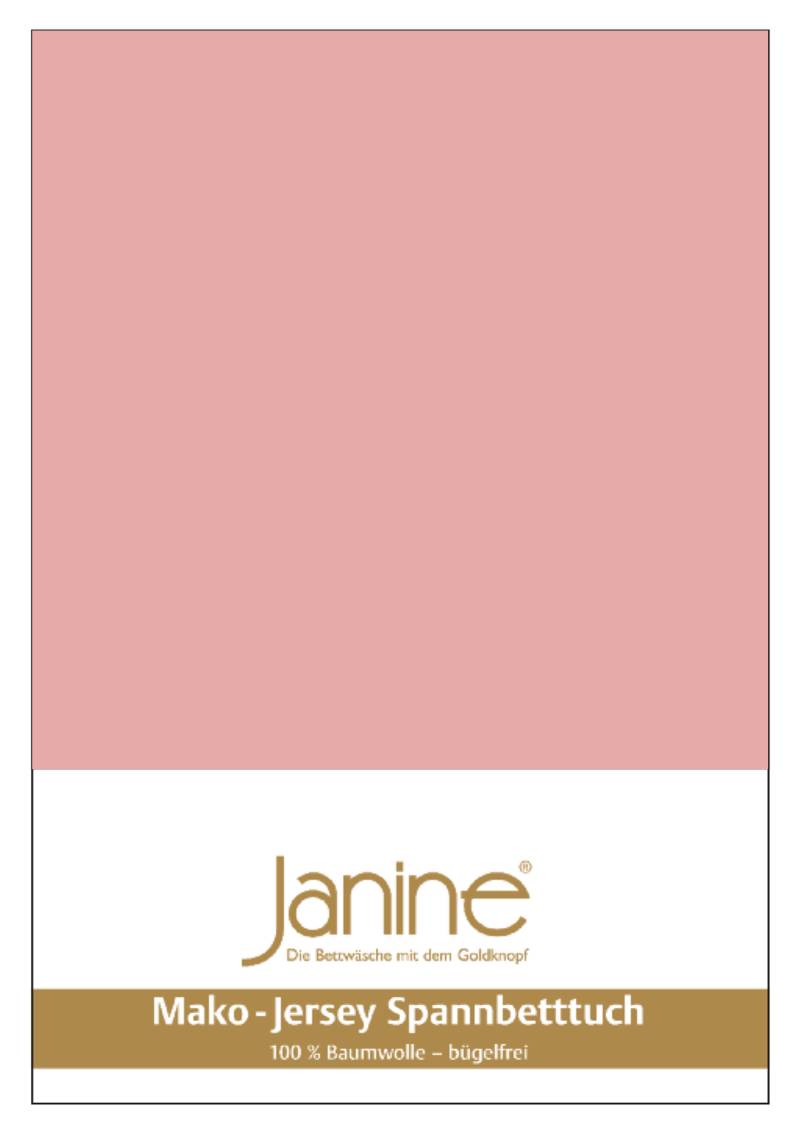 Janine Mako Jersey Spannbetttuch Bettlaken 180 - 200 x 200 cm OVP 5007 31 zartmauve Janine Mako Jersey Spannbetttuch Bettlaken 180 - 200 x 200 cm OVP 5007 31 zartmauve von Janine Design GmbH