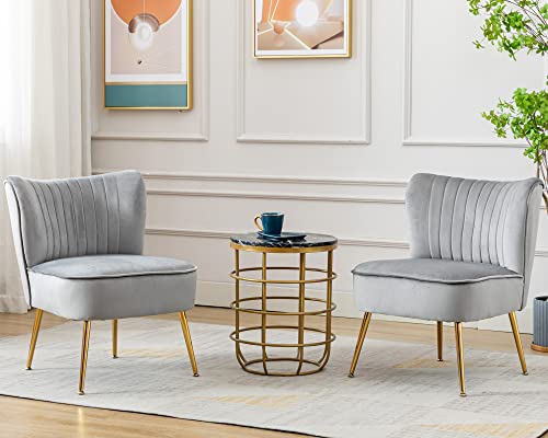 Janoray Samt-Stuhl, 2er-Set, bequemer Wohnzimmerstuhl, ohne Armlehnen, Slipper-Stuhl, Mitte des Jahrhunderts, Einzel-Sofa-Stuhl mit goldenen Beinen, Flügelrücken, für Schlafzimmer, Gästezimmer, Grau von Janoray