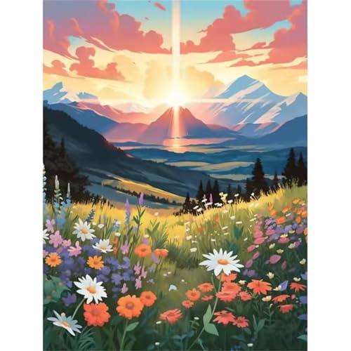 Paint by Numbers for Adults,Valley Flower Terrace Paint by Number Kits On Canvas for Beginners,with Brushes DIY Color Acrylic Pigment Oil Painting Arts Crafts for Home Decor(Without Frame)45x60cm von Januave