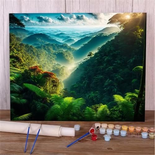 Paint by Numbers for Adults,Valley Sunset Paint by Number Kits On Canvas for Beginners,with Brushes DIY Color Acrylic Pigment Oil Painting Arts Crafts for Home Decor(Without Frame)60x75cm von Januave