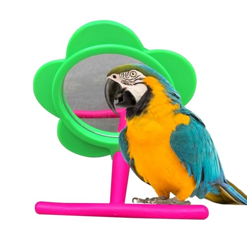 Vogelspiegel mit Sitzstange, Vogelspiegel für Käfig - Sitzstange aus Holz mit Spiegel für Papagei - Bissfester Papageienspiegel mit Ständer, Vogelkäfigzubehör für Wellensittiche, Sittiche, Spatzen von Janurium
