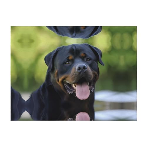 203,2 x 152,4 cm weiche, gemütliche Flanelldecke, Rottweiler-Tapete, bedruckter Überwurf für Bett, Sofa und Reisen, leicht, hypoallergen 203,2 x 152,4 cm weiche, gemütliche Flanelldecke, Rottweiler-Tapete, bedruckter Überwurf für Bett, Sofa und Reisen, leicht, hypoallergen von JaoXer