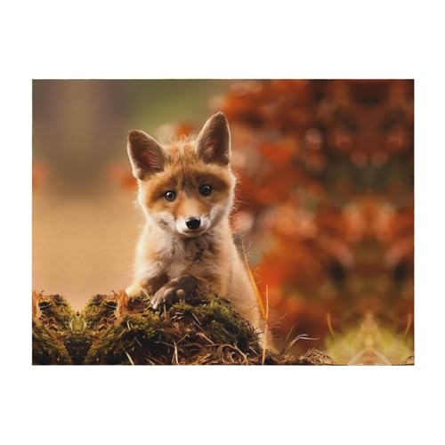 203,2 x 152,4 cm weiche, gemütliche Flanelldecke, niedlicher Baby-Fuchs-Überwurf für Bett, Sofa und Reisen, leicht, hypoallergen 203,2 x 152,4 cm weiche, gemütliche Flanelldecke, niedlicher Baby-Fuchs-Überwurf für Bett, Sofa und Reisen, leicht, hypoallergen von JaoXer