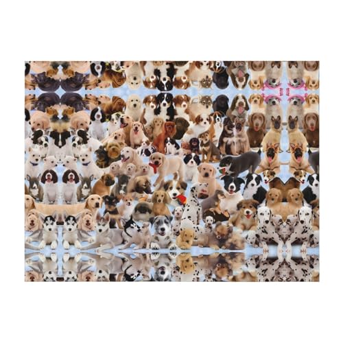 203,2 x 152,4 cm weiche, gemütliche Flanelldecke, niedlicher Haustier-Hunde-Überwurf für Bett, Sofa und Reisen, leicht, hypoallergen 203,2 x 152,4 cm weiche, gemütliche Flanelldecke, niedlicher Haustier-Hunde-Überwurf für Bett, Sofa und Reisen, leicht, hypoallergen von JaoXer