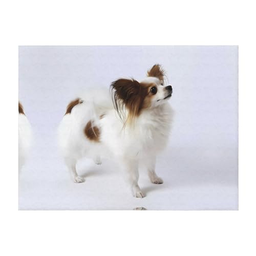 203,2 x 152,4 cm weiche, gemütliche Flanelldecke, weißer Papillon, bedruckter Überwurf für Bett, Sofa und Reisen, leicht, hypoallergen 203,2 x 152,4 cm weiche, gemütliche Flanelldecke, weißer Papillon, bedruckter Überwurf für Bett, Sofa und Reisen, leicht, hypoallergen von JaoXer