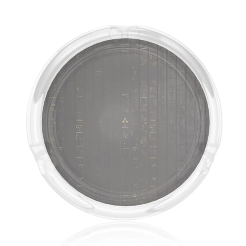 Aschenbecher aus Glas, Antiker ägyptischer Hieroglyphen-Druck, rund, 8,4 cm, klarer Kristall, für Zuhause, Büro und Außenbereich Aschenbecher aus Glas, Antiker ägyptischer Hieroglyphen-Druck, rund, 8,4 cm, klarer Kristall, für Zuhause, Büro und Außenbereich von JaoXer
