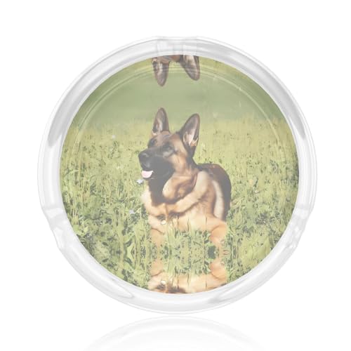 Aschenbecher aus Glas, Motiv: Deutscher Schäferhund, rund, 8,4 cm, klarer Kristall, für Zuhause, Büro und Außenbereich Aschenbecher aus Glas, Motiv: Deutscher Schäferhund, rund, 8,4 cm, klarer Kristall, für Zuhause, Büro und Außenbereich von JaoXer