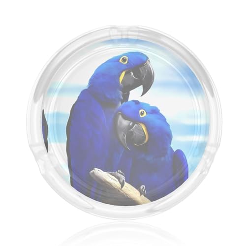 Aschenbecher aus Glas mit Papageien-Motiv, rund, 8,4 cm, klarer Kristall, für Zuhause, Büro und Außenbereich Aschenbecher aus Glas mit Papageien-Motiv, rund, 8,4 cm, klarer Kristall, für Zuhause, Büro und Außenbereich von JaoXer