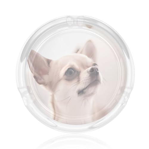 Aschenbecher aus Glas mit niedlichem Chihuahua-Druck, rund, 8,4 cm, klarer Kristall, für Zuhause, Büro und Außenbereich Aschenbecher aus Glas mit niedlichem Chihuahua-Druck, rund, 8,4 cm, klarer Kristall, für Zuhause, Büro und Außenbereich von JaoXer