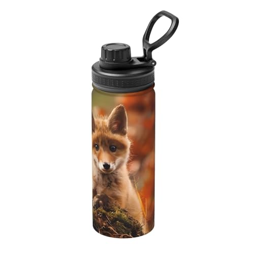 Cute Baby Fox Isolierter Wasserkocher, 530 ml, doppelwandige Thermoskanne für heiße und kalte Getränke, perfekt für Reisen, Camping Cute Baby Fox Isolierter Wasserkocher, 530 ml, doppelwandige Thermoskanne für heiße und kalte Getränke, perfekt für Reisen, Camping von JaoXer