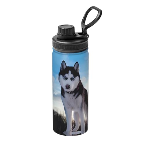 Dogs Isolierter Wasserkocher, 530 ml, doppelwandige Thermoskanne für heiße und kalte Getränke, perfekt für Reisen, Camping Dogs Isolierter Wasserkocher, 530 ml, doppelwandige Thermoskanne für heiße und kalte Getränke, perfekt für Reisen, Camping von JaoXer