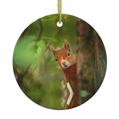 Eichhörnchen Keramik Weihnachtsbaum Ornament – festliche, runde hängende Dekoration für Weihnachten, Feiertage, Hochzeiten und mehr Eichhörnchen Keramik Weihnachtsbaum Ornament – festliche, runde hängende Dekoration für Weihnachten, Feiertage, Hochzeiten und mehr von JaoXer