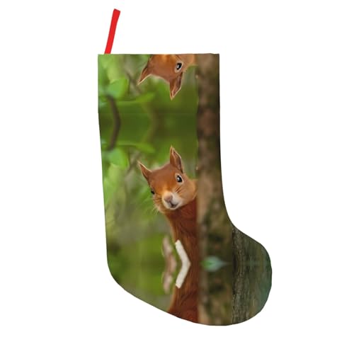 Eichhörnchen Weihnachtsstrümpfe, 45,7 cm, Weihnachtsdekoration, personalisierte Geschenktüte für glückliche jährliche Zeremonien Eichhörnchen Weihnachtsstrümpfe, 45,7 cm, Weihnachtsdekoration, personalisierte Geschenktüte für glückliche jährliche Zeremonien von JaoXer