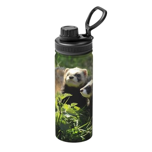 Foraging Frettchen 530 ml Sport Isolierter Wasserkocher – doppelwandige Thermoskanne für heiße und kalte Getränke – perfekt für Reisen, Camping Foraging Frettchen 530 ml Sport Isolierter Wasserkocher – doppelwandige Thermoskanne für heiße und kalte Getränke – perfekt für Reisen, Camping von JaoXer