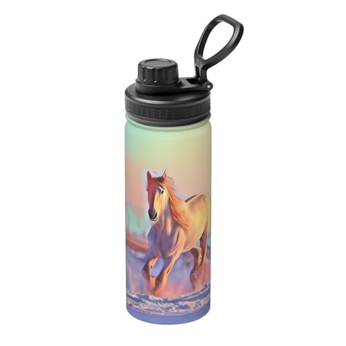 Horse Isolierkessel für Sport, 530 ml, doppelwandige Thermoskanne für heiße und kalte Getränke, perfekt für Reisen, Camping Horse Isolierkessel für Sport, 530 ml, doppelwandige Thermoskanne für heiße und kalte Getränke, perfekt für Reisen, Camping von JaoXer