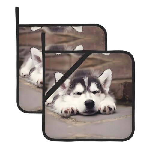 Husky Dog Topflappen-Sets für Küche und Grill, hitzebeständige Hotpads und Topflappen, perfekt zum Backen, Grillen von JaoXer