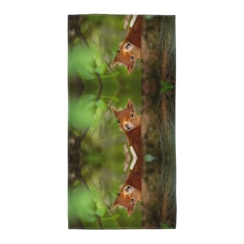 JaoXer 30,5 x 61 cm Strand-Pool-Handtuch für Damen und Herren – leichtes, wiederverwendbares Handtuch mit Eichhörnchen-Druck für Bad, Fitnessstudio, Reisen, Sport JaoXer 30,5 x 61 cm Strand-Pool-Handtuch für Damen und Herren – leichtes, wiederverwendbares Handtuch mit Eichhörnchen-Druck für Bad, Fitnessstudio, Reisen, Sport von JaoXer