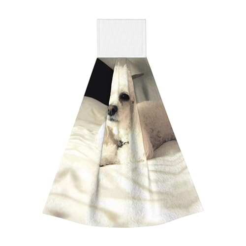 JaoXer French Poodle Korallen-Samt-Handtücher, zum Aufhängen, schnell trocknende Reinigungstücher für Küche, Bad, Camping und mehr JaoXer French Poodle Korallen-Samt-Handtücher, zum Aufhängen, schnell trocknende Reinigungstücher für Küche, Bad, Camping und mehr von JaoXer