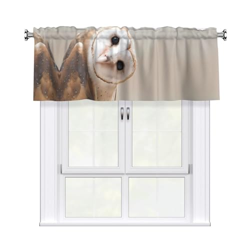 JaoXer Lustiger Vorhang mit Eulen-Druck, 137,2 x 45,7 cm, Fensterdekoration für Heimdekoration, perfekt für Badezimmer, Waschküche JaoXer Lustiger Vorhang mit Eulen-Druck, 137,2 x 45,7 cm, Fensterdekoration für Heimdekoration, perfekt für Badezimmer, Waschküche von JaoXer