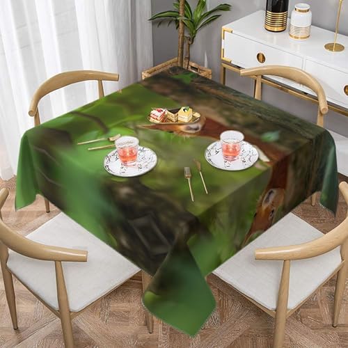 JaoXer Quadratische Tischdecke mit Eichhörnchen-Druck, perfekt für drinnen und draußen, Esstisch, Couchtisch und Bürokonferenzen von JaoXer