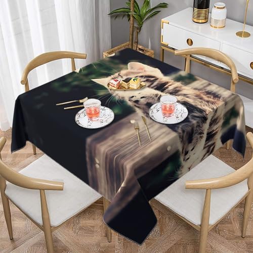 JaoXer Quadratische Tischdecke mit Katzendruck, perfekt für drinnen und draußen, Esstisch, Couchtisch und Bürokonferenzen von JaoXer