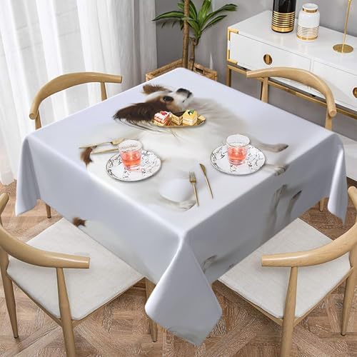 JaoXer Quadratische Tischdecke mit weißem Papillon-Druck, perfekt für drinnen und draußen, Esstisch, Couchtisch und Bürokonferenzen JaoXer Quadratische Tischdecke mit weißem Papillon-Druck, perfekt für drinnen und draußen, Esstisch, Couchtisch und Bürokonferenzen von JaoXer