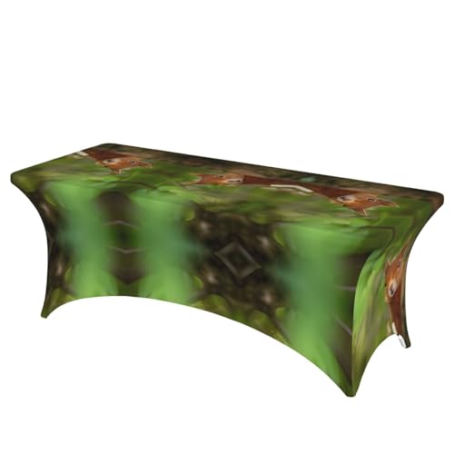 JaoXer Rechteckige Tischdecke mit Eichhörnchen-Druck, abwischbar, dehnbar, langlebig, für den Innen- und Außenbereich JaoXer Rechteckige Tischdecke mit Eichhörnchen-Druck, abwischbar, dehnbar, langlebig, für den Innen- und Außenbereich von JaoXer