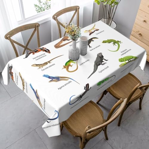 JaoXer Rechteckige Tischdecke mit Eidechsenaufdruck, waschbar, klassische Küchendekoration für Esstisch, Tischplatte, Party-Tischdecken JaoXer Rechteckige Tischdecke mit Eidechsenaufdruck, waschbar, klassische Küchendekoration für Esstisch, Tischplatte, Party-Tischdecken von JaoXer