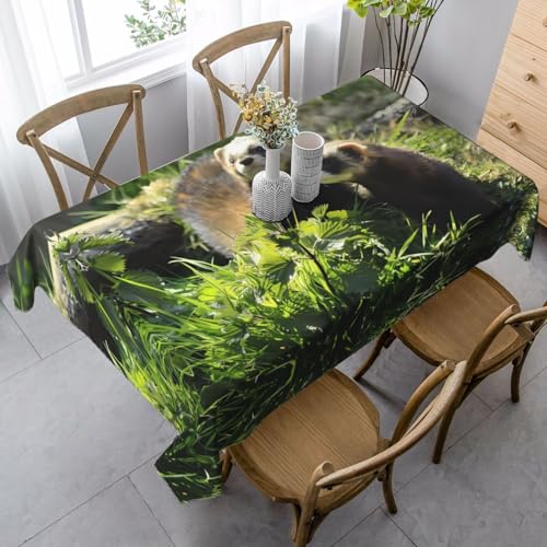JaoXer Rechteckige Tischdecke mit Frettchen-Druck, waschbar, klassische Küchendekoration für Esstisch, Tischplatte, Party-Tischdecken JaoXer Rechteckige Tischdecke mit Frettchen-Druck, waschbar, klassische Küchendekoration für Esstisch, Tischplatte, Party-Tischdecken von JaoXer
