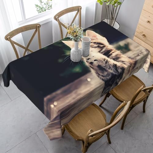 JaoXer Rechteckige Tischdecke mit Katzendruck, waschbar, klassische Küchendekoration für Esstisch, Tischplatte, Party-Tischdecken von JaoXer