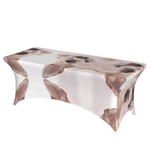 JaoXer Rechteckige Tischdecke mit niedlichem Chihuahua-Druck, abwischbar, dehnbar, langlebig, für den Innen- und Außenbereich JaoXer Rechteckige Tischdecke mit niedlichem Chihuahua-Druck, abwischbar, dehnbar, langlebig, für den Innen- und Außenbereich von JaoXer