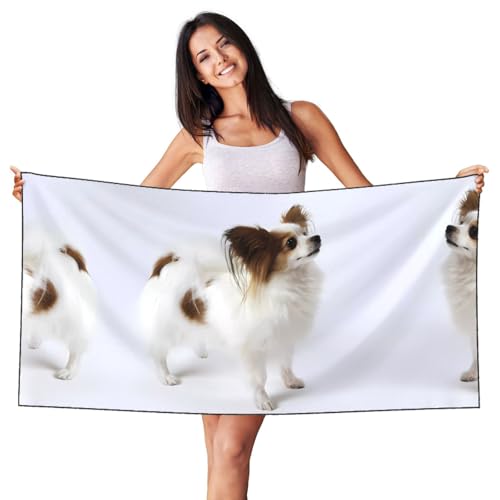 JaoXer Samt-Strandtuch mit schwarzem und silberfarbenem Fuchs – weißes Papillon-Druck, weiches Handtuch für Zuhause, Reisen, Schwimmbad, Sonnenbad, Fitnessstudio JaoXer Samt-Strandtuch mit schwarzem und silberfarbenem Fuchs – weißes Papillon-Druck, weiches Handtuch für Zuhause, Reisen, Schwimmbad, Sonnenbad, Fitnessstudio von JaoXer