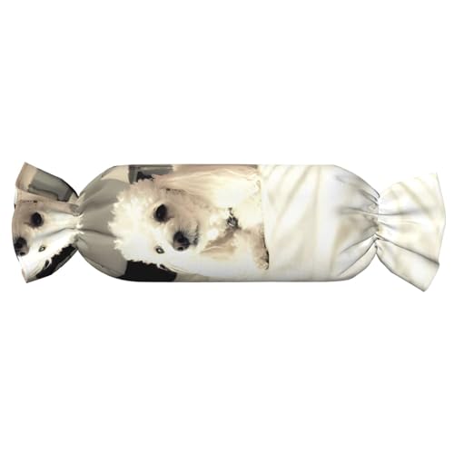 JaoXer 【Süßigkeitenförmiges zylindrisches Kissen】Verstellbare Nackenstütze, Plüsch-Körperkissen mit weichem französischem Pudel-Druck-Design JaoXer 【Süßigkeitenförmiges zylindrisches Kissen】Verstellbare Nackenstütze, Plüsch-Körperkissen mit weichem französischem Pudel-Druck-Design von JaoXer
