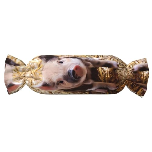 JaoXer 【Süßigkeitenförmiges zylindrisches Kissen】Verstellbare Nackenstütze, Plüsch-Körperkissen mit weichem süßem Schweine-Druck-Design JaoXer 【Süßigkeitenförmiges zylindrisches Kissen】Verstellbare Nackenstütze, Plüsch-Körperkissen mit weichem süßem Schweine-Druck-Design von JaoXer