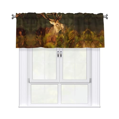JaoXer Vorhang mit Tier-Hirsch-Druck, 137,2 x 45,7 cm, Fensterdekoration für Heimdekoration, perfekt für Badezimmer, Waschküche JaoXer Vorhang mit Tier-Hirsch-Druck, 137,2 x 45,7 cm, Fensterdekoration für Heimdekoration, perfekt für Badezimmer, Waschküche von JaoXer