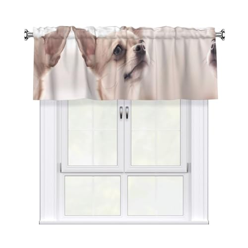 JaoXer Vorhang mit niedlichem Chihuahua-Druck, 137,2 x 45,7 cm, Fensterdekoration für Heimdekoration, perfekt für Badezimmer, Waschküche JaoXer Vorhang mit niedlichem Chihuahua-Druck, 137,2 x 45,7 cm, Fensterdekoration für Heimdekoration, perfekt für Badezimmer, Waschküche von JaoXer