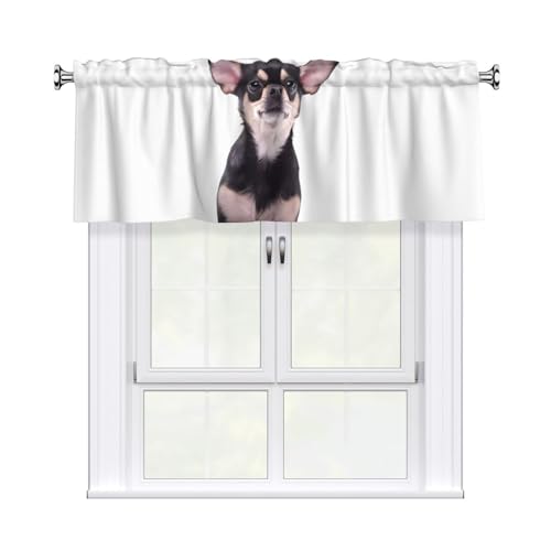 JaoXer Vorhang mit niedlichem Chihuahua-Druck, 137,2 x 45,7 cm, Fensterdekoration für Heimdekoration, perfekt für Badezimmer, Waschküche JaoXer Vorhang mit niedlichem Chihuahua-Druck, 137,2 x 45,7 cm, Fensterdekoration für Heimdekoration, perfekt für Badezimmer, Waschküche von JaoXer