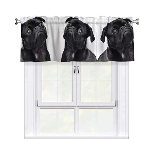 JaoXer Vorhang mit niedlichem Mops-Motiv, 137,2 x 45,7 cm, Fensterdekoration für Zuhause, perfekt für Badezimmer, Waschküche JaoXer Vorhang mit niedlichem Mops-Motiv, 137,2 x 45,7 cm, Fensterdekoration für Zuhause, perfekt für Badezimmer, Waschküche von JaoXer