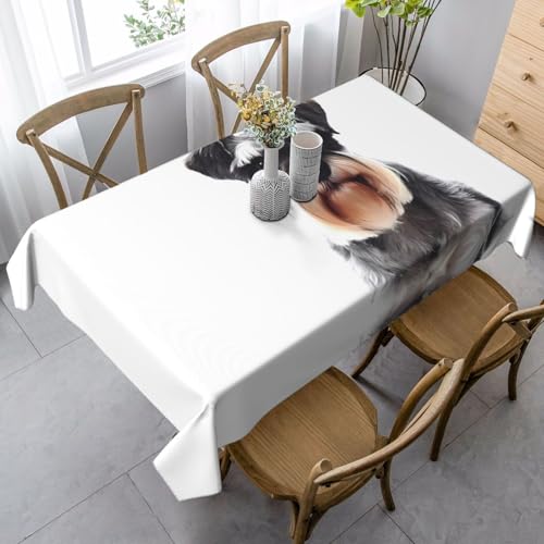 JaoXer Well-Behaved Rechteckige Tischdecke mit Schnauzer-Druck, waschbar, klassische Küchendekoration für Esstisch, Tischplatte, Party-Tischdecken JaoXer Well-Behaved Rechteckige Tischdecke mit Schnauzer-Druck, waschbar, klassische Küchendekoration für Esstisch, Tischplatte, Party-Tischdecken von JaoXer