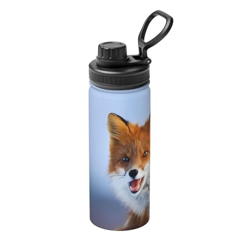 Little Fox Isolierter Wasserkocher, 530 ml, doppelwandige Thermoskanne für heiße und kalte Getränke, perfekt für Reisen, Camping Little Fox Isolierter Wasserkocher, 530 ml, doppelwandige Thermoskanne für heiße und kalte Getränke, perfekt für Reisen, Camping von JaoXer