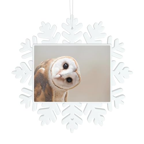 Lustige Eule Schneeflocke Dekorationen - Winter Weihnachten hängen für Weihnachtsbaum, Urlaub Hochzeit Party Schilder, Tischdekoration Lustige Eule Schneeflocke Dekorationen - Winter Weihnachten hängen für Weihnachtsbaum, Urlaub Hochzeit Party Schilder, Tischdekoration von JaoXer