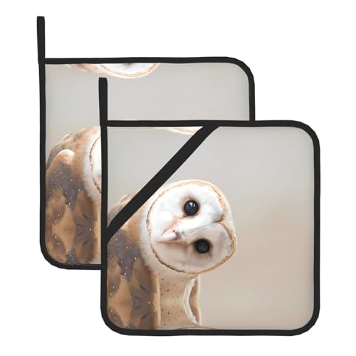 Lustige Eulen-Topflappen-Sets für Küche und Grill, hitzebeständige Hotpads und Topflappen, perfekt zum Backen, Grillen Lustige Eulen-Topflappen-Sets für Küche und Grill, hitzebeständige Hotpads und Topflappen, perfekt zum Backen, Grillen von JaoXer