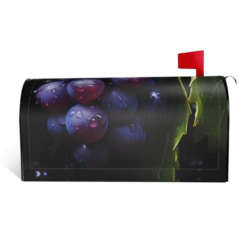 Magnetische Briefkastenabdeckung mit frischen Trauben, personalisierbar, reflektierend, 53,3 x 45,7 cm, Briefkastenabdeckung für Outdoor-Gartendekoration von JaoXer