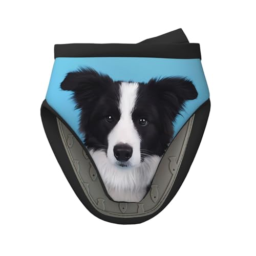 Mini-Silikon-Ofenhandschuhe, Topflappen-Set – Border Collie-Druck, hitzebeständig, ideal zum Backen, Kochen und Campen, 1 Stück Mini-Silikon-Ofenhandschuhe, Topflappen-Set – Border Collie-Druck, hitzebeständig, ideal zum Backen, Kochen und Campen, 1 Stück von JaoXer